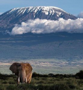 Kilimanjaro National Park